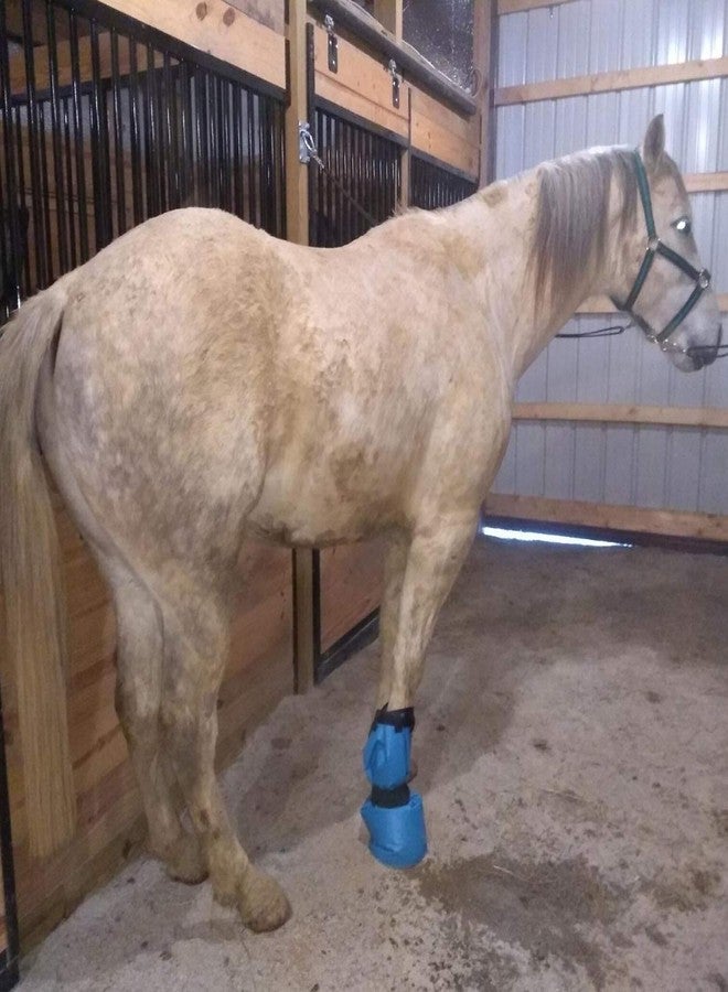 yeezo A Pair Hoof Soaker Boot Equine Soaking Boot Horse Soak Bag Draft Soaker Sack Horse Foot Wrapped Hooves Care Bags Easy Use Icing Treatment Bucket - Image 2